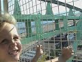 360: A Portrait of the Coney Island Wonder Wheel