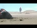 Shocking Video As Hundreds of Dead Dolphins Wash Ashore in Peru