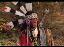 americanta   white buffalo