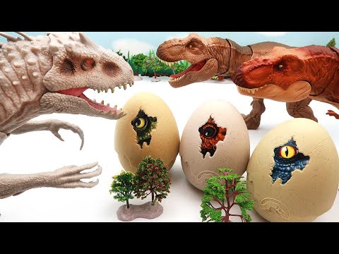Jurassic World Dinosaur Egg Hatching With Indominus Rex