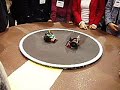 SFSU Robotic Sumo - Video 2