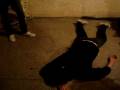 videos de NO SEMOS