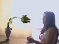 Talking Plant - The Armando Planta Talking Plant - The Armando Planta