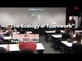 The Ecology of Teamwork