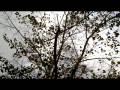 videos de viento