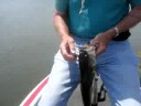 Bass fishing at Delta  #2