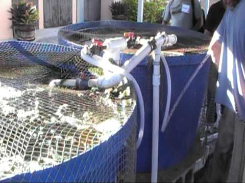 Fish rearing tanks, Nelson and Pade system, UVI.