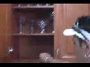 Eddie of Simplicity Improvement talks about Destiny Cabinets Eddie of Simplicity Improvement talks about Destiny Cabinets