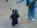 joa con las palomas