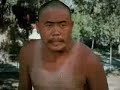 totally realistic shaolin kung fu fighting