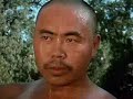 totally realistic shaolin kung fu fighting