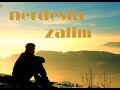myavuz-?zollu mehmet-Zal?m ey