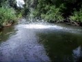 Die Pegnitz Jumper 1
