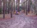 videos de KXR250 & Kazuma 90 at Piccadilly Woods  30 Nov 08