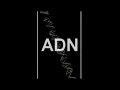 adn-estructura