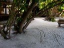Biyadhoo Island, Maldives; Restaurant, Bar & Beach