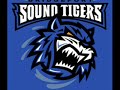 Bridgeport Sound Tigers Goal Horn