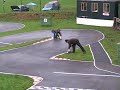 1/10 RC Caravan Racing