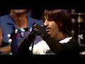 Scar Tissue Live at Slane Castle- Red Hot Chili Peppers