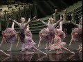 P.I.Tchaikovsky - The Sleeping Beauty II