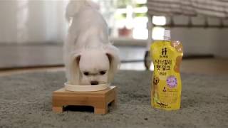 video thumbnail Dr. holipet milk CARAMEL youtube