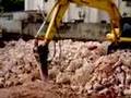 Excavación Santo Domingo, Republica Dominicana