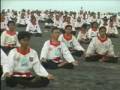Merpati Putih Tradisi 2003 - (02)