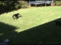 Cali and Jack
