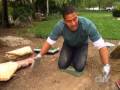 Patio Pavers and Walkways-DIY