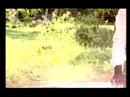 Afsal-Video