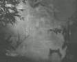 Chaos Synopsis - Garden of Forgotten Shadows