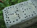 Homes for Leafcutter Bees