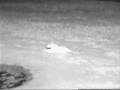 Lions on Africam (Part 4)