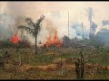 Seculo XX, inicio do fim
