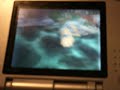 Wario vs. Bowser?!