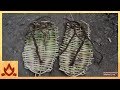 https://www.youtube.com/watch?v=i-WYT2UotIc