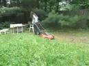 mowing the lawn