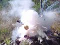 Pop Goes the Pumpkin - pumpkin explodes