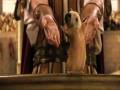 videos de Super cute hamster and Adam Sandler