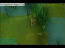 Runescape swamp lizards hunting guide!! Runescape swamp lizards hunting guide!!
