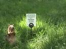 Stay OFF The Grass