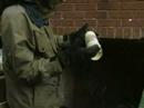 Everybody throws stuff out but ever wonder what happens to that old couch or washing machine? In this report, find out what happens to your garbage and the art of dumpster diving.