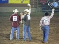 wild cow milking