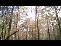 Lijiang's Jade Dragon Snow Mountain - the Forest Path to Cloud Fir Meadow (VID00253).AVI