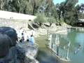 Israel Trip 11/2008 - 47