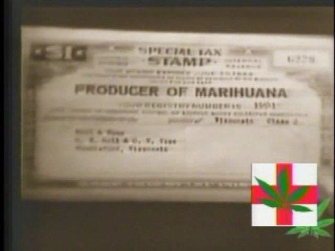 Cannabis Common Sense 461 - The Magic Weed - Clip