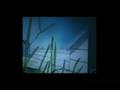 videos de EXPOSICION . ESTEBAN VICENTE .FRAGIL 2ª