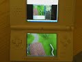 Runescape on DS