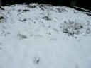 my first snow fight