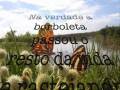 VIDEO-RENASCER.wmv